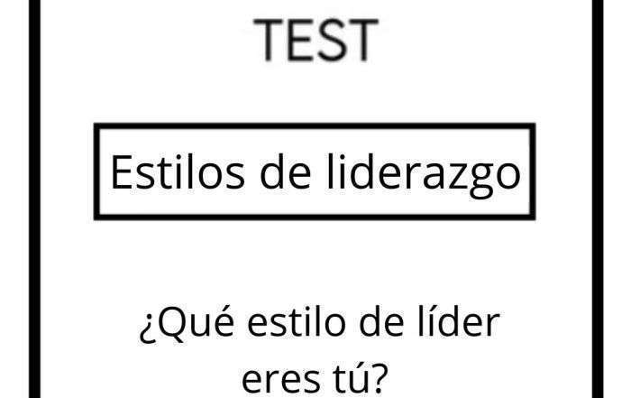 ¿Qué estilo de líder eres tú? by Psicoestilos