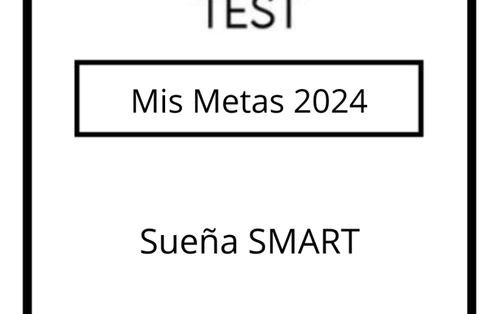 Mis Metas 2024 (Test)