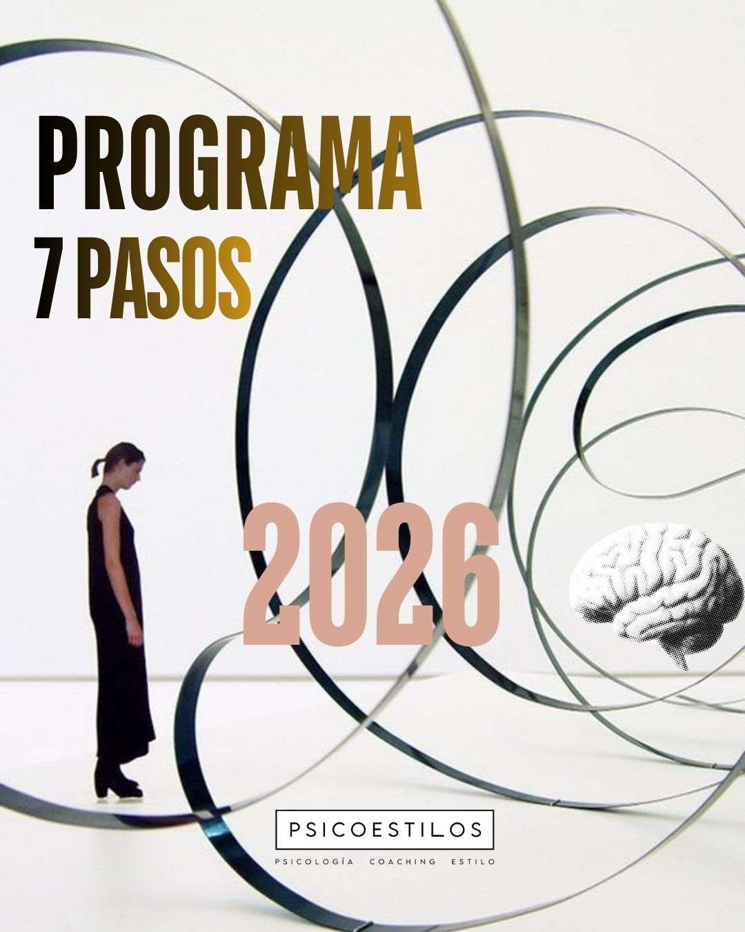 Programa 7 Pasos by Psicoestilos